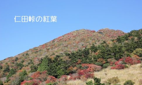 仁田峠の紅葉の写真