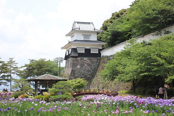 城と花菖蒲園の写真