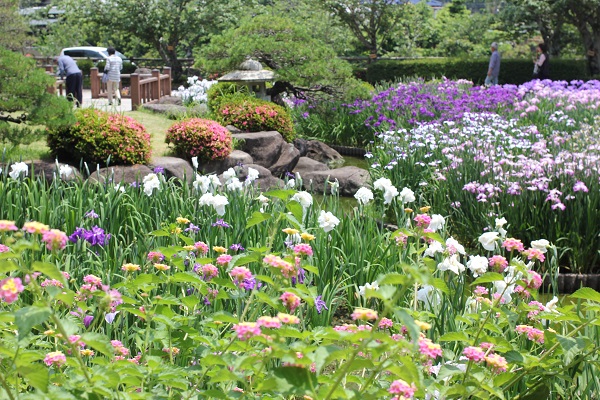 大村公園の庭園の写真