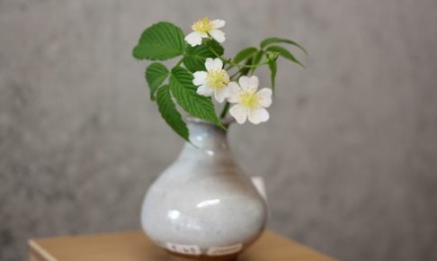 唐津焼の花瓶と花の写真