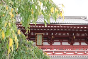 浅草寺の写真