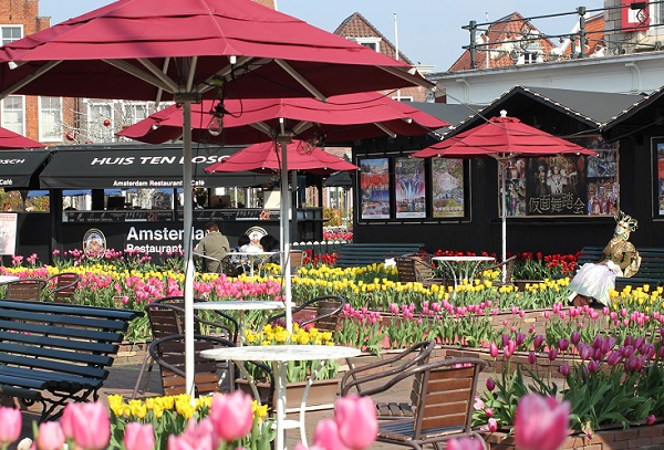 アムステルダム広場、チューリップとベンチの写真