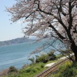 大村湾の海と線路、桜の写真