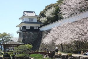 大村公園の桜の写真