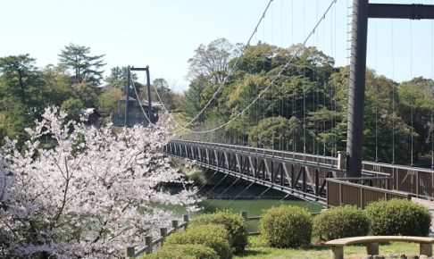 野岳湖の橋と桜の写真