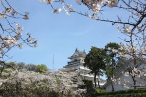 島原城と桜の写真
