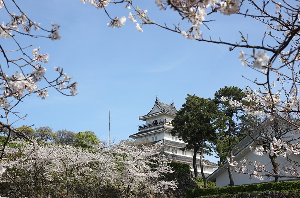 島原城と桜の写真