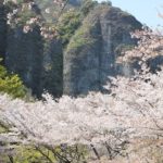 乳待坊公園の絶景、桜と岩の景色の写真