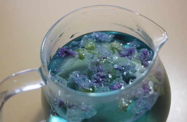 乾燥させたマロウを透明なポットに入れ、お湯を注いだ様子、青いお茶に赤紫の花びらが入ってる写真