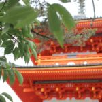 夏の清水寺、緑の葉をつけた木と「仁王門」の写真