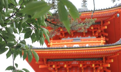 夏の清水寺、緑の葉をつけた木と「仁王門」の写真