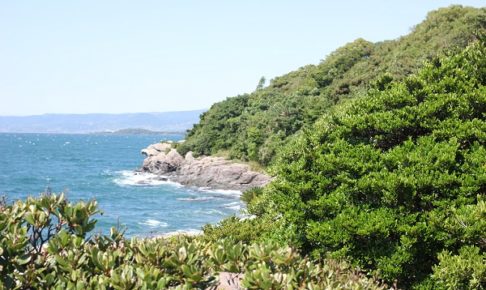 堂崎ノ鼻、海と空、木々などの綺麗な景色の写真