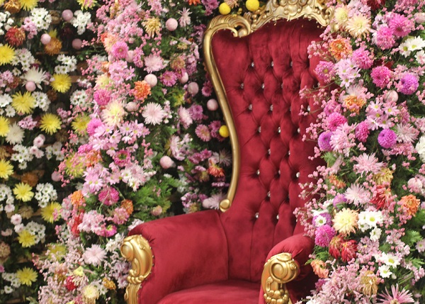 ハウステンボスの「２万本のダリア」会場内のダリアの壁と優雅な椅子の写真