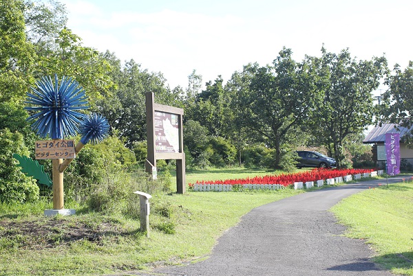 ヒコダイ公園の入り口の写真