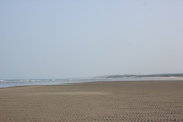 吹上浜海岸砂丘の写真