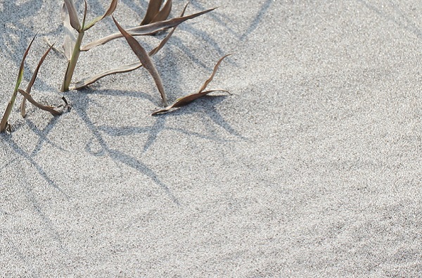 吹上浜海岸砂丘の砂のアップ写真
