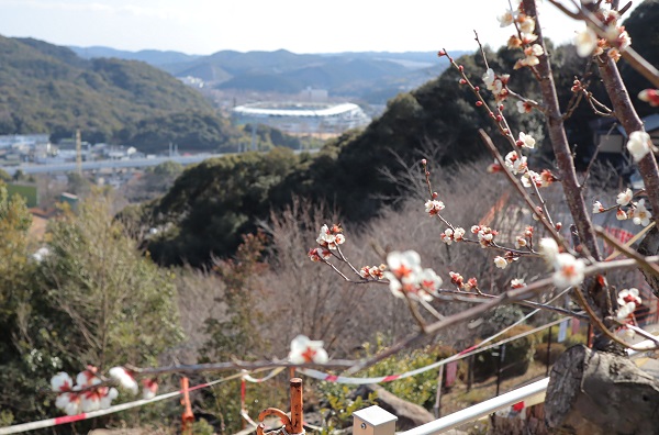 御館山稲荷神社の梅園から見た景色